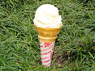 アイスクリン | 高知県（高知）のご当地B級グルメ