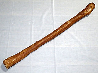 ジャンボ麩菓子 | 埼玉県（川越）のご当地B級グルメ