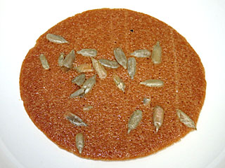 ひまわりクッキー | 宮城県（三本木）のご当地B級グルメ